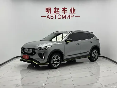 2022 Haval Red Rabbit Enjoy 1.5T Red Bronze Rabbit