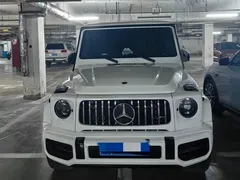 2017 Mercedes-Benz G-Class G 500, белый — фото 1