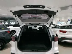 2020 Chery Tiggo 8 1.5TCI AT Special Edition 5-seat, белый — фото 19