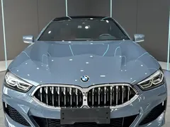 2019 BMW 8 Series 8 840i xDrive M, синий — фото 2