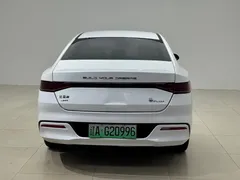 2023 BYD Qin PLUS 120KM, белый — фото 5