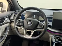 2023 BYD Qin PLUS 120KM, белый — фото 12