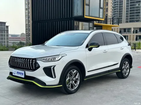2022 Haval Red Rabbit Enjoy 1.5T Red Bronze Rabbit