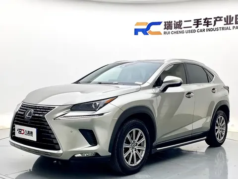 2020 Lexus NX 200 Fashion VI