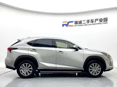 2020 Lexus NX 200 Fashion VI — фото 4