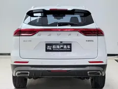 2021 Haval H6 1.5T AT, белый — фото 5