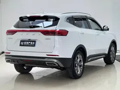2021 Haval H6 1.5T AT, белый — фото 6