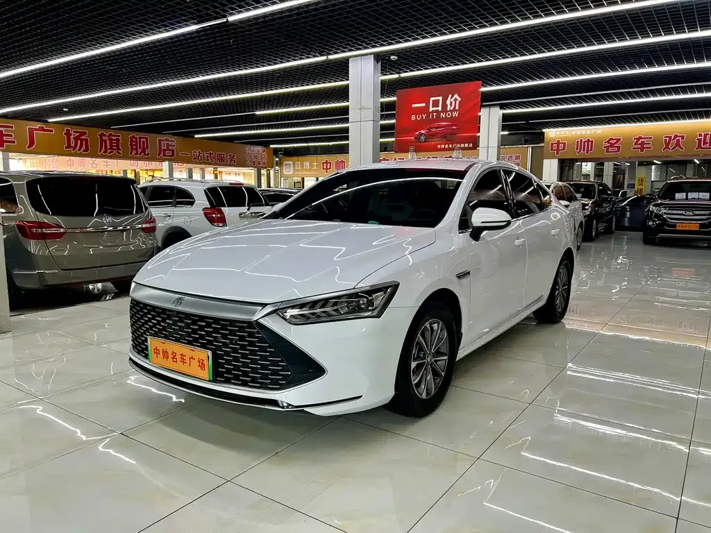 2024 BYD Qin PLUS 55KM
