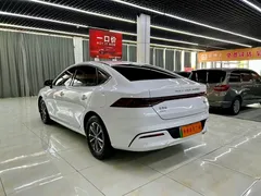 2024 BYD Qin PLUS 55KM, белый — фото 4