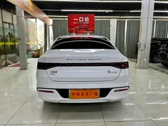 2024 BYD Qin PLUS 55KM, белый — фото 5