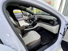 2024 BYD Qin PLUS 55KM, белый — фото 15