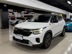 2023 Kia Seltos 1.5L CVT Luxury, белый — фото 1