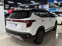 2023 Kia Seltos 1.5L CVT Luxury, белый — фото 6
