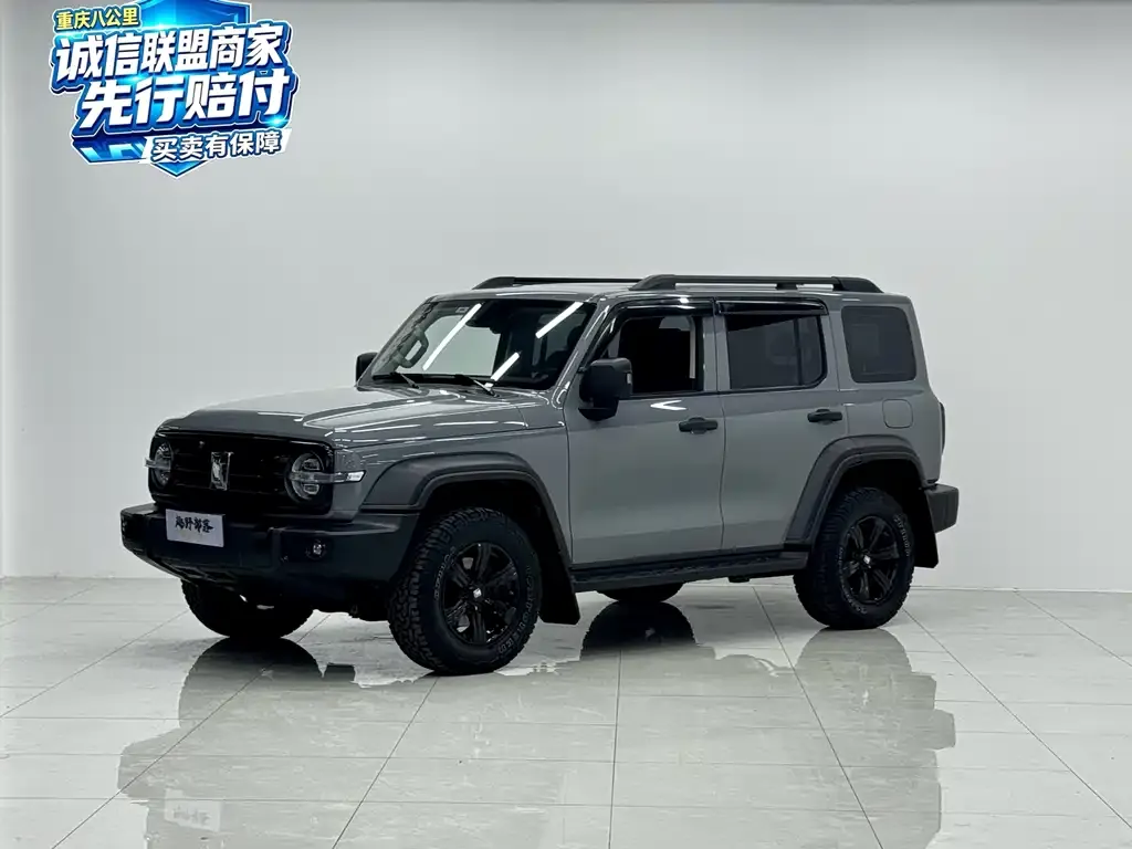 2023 Tank 300 2.0T