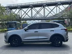 2021 Haval Red Rabbit Inspiration 1.5T Platinum Rabbit — фото 3