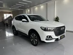2023 Haval H6 1.5T AT, белый — фото 3