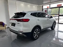 2023 Haval H6 1.5T AT, белый — фото 4