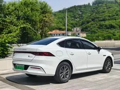 2021 BYD Qin PLUS EV 420km, белый — фото 6