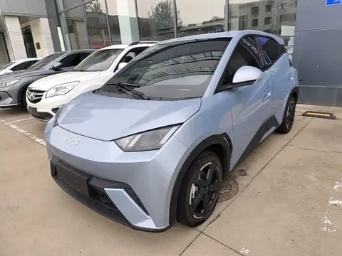 2024 BYD Seagull EV 305km Honor Freedom