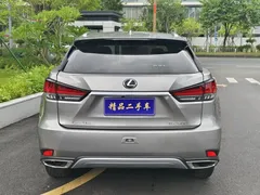 2020 Lexus RX 300 2WD Elite — фото 7