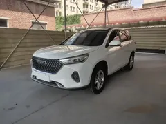2021 Haval M6 Plus 1.5T MT Elite, белый — фото 2