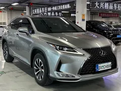 2020 Lexus RX 300 2WD Elite VI — фото 3