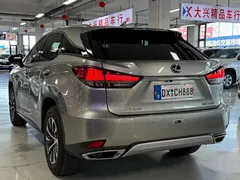 2020 Lexus RX 300 2WD Elite VI — фото 6