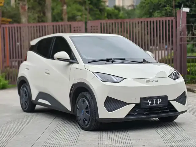 2025 BYD Seagull 305km