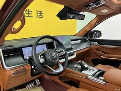 2022 Tank 500 3.0T high-end customization 5 seats — фото 3
