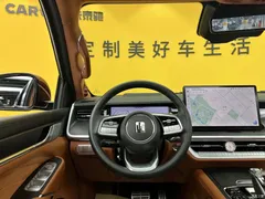 2022 Tank 500 3.0T high-end customization 5 seats — фото 10