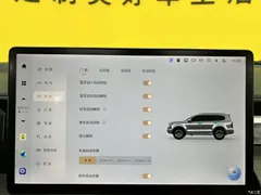 2022 Tank 500 3.0T high-end customization 5 seats — фото 17