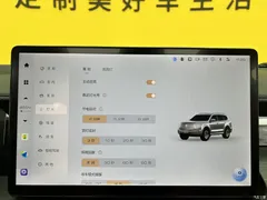 2022 Tank 500 3.0T high-end customization 5 seats — фото 18