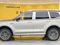 2022 Tank 500 3.0T high-end customization 5 seats — фото 32