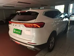 2021 Haval H6 1.5T AT, белый — фото 7