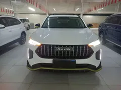 2022 Haval Chitu 1.5T, белый — фото 3
