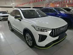 2022 Haval Chitu 1.5T, белый — фото 4