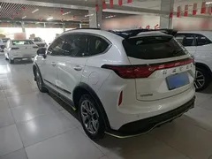 2022 Haval Chitu 1.5T, белый — фото 5