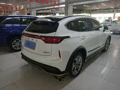 2022 Haval Chitu 1.5T, белый — фото 7