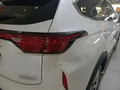 2022 Haval Chitu 1.5T, белый — фото 8