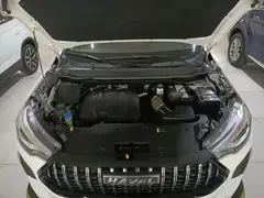 2022 Haval Chitu 1.5T, белый — фото 20