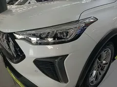 2022 Haval Chitu 1.5T, белый — фото 24