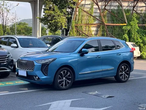 2021 Haval Harvard First Love 1.5T AT Senior