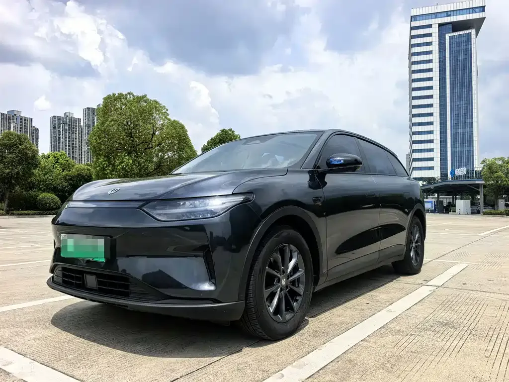 2023 Leapmotor C11 500
