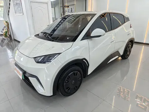 2024 BYD Seagull Honor 305km Vitality