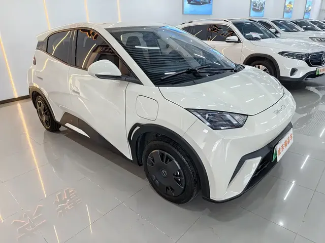 2024 BYD Seagull Honor 305km Vitality