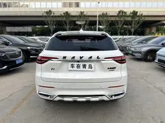2021 Haval F7 2.0T 2WD Fan, белый — фото 10