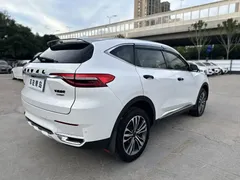2021 Haval F7 2.0T 2WD Fan, белый — фото 11