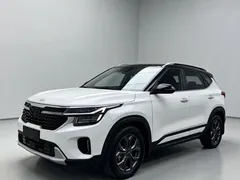 2023 Kia Seltos 1.5L CVT Luxury, белый — фото 1