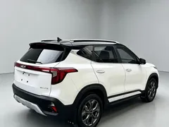 2023 Kia Seltos 1.5L CVT Luxury, белый — фото 9