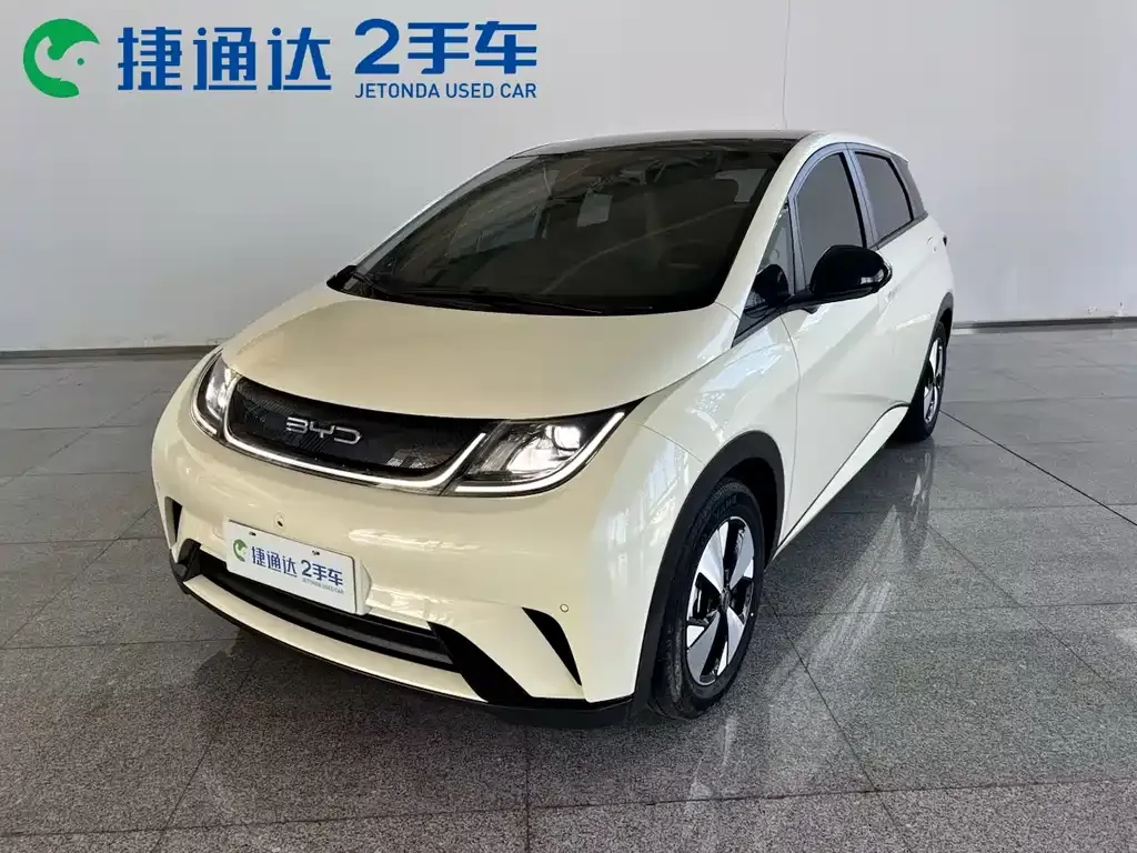2023 BYD Dolphin 420km Fashion